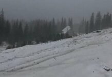 На высокогорье Карпат выпал снег, а температура упала ниже нуля