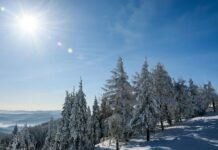 В Карпатах выпал 1 метр снега