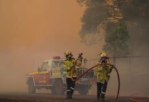 Австралию с февраля охватили лесные пожары. Пламя бушует возле крупнейшего города