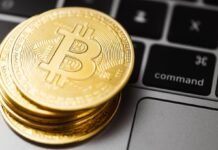 Илон Маск считает завышенным курс биткойна