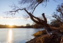 Солнечно, но морозно: прогноз погоды на сегодня