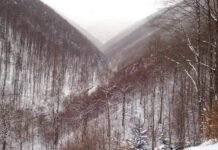 Снегопады в Карпатах: есть угроза схода лавин