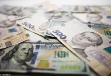 Доллар снова кастет: НБУ повысил курс на 8 апреля