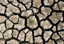 Оккупанты в Крыму хотят искать запасы воды на дне Азовского моря