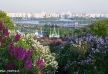 Грозовые дожди отошли и потеплело: прогноз погоды на сегодня