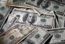 В Украине инвестируют 20 млн долларов в переработку сои и производство кормов