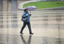 Дожди на севере и в центре, днем до +17: погода на сегодня