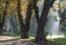 Температура в Киеве упала ниже нуля, безморозный период продолжался 219 дней