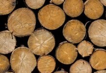 Индонезия засомневалась в обещании, данном на COP26: “Неуместно и несправедливо”