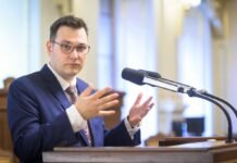Главы МИД Чехии, Словакии и Австрии посетят Донбасс