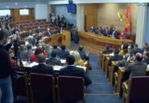 В Черногории выразили недоверие правительству: президент назначит нового премьера