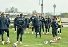 Сборная Украины получила соперника на спарринг перед Шотландией