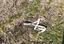 В Днепропетровской области погибла женщина, взявшая в руки кассетный боеприпас