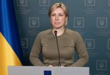 Верещук призывает жителей Херсонской области выехать через оккупированный Крым