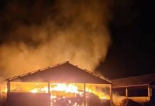 Ракеты, артиллерия, РСЗО: войска РФ ночью массово обстреляли Днепропетровскую область
