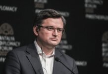 Французы в шоке. Украина вопреки войне предлагала самолеты для тушения пожаров, – Кулеба