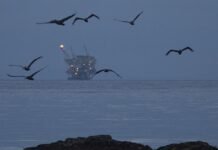 Нефть продолжает дешеветь: что влияет на мировые цены