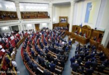 Рада может рассмотреть два законопроекта о гражданстве: о чем речь