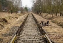 Готовят для мобилизованных? В Ростовской области заметили эшелон грузовиков (видео)