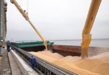 Из украинских портов отправился по “зерновому коридору” еще один караван с продовольствием