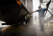 Украина не смогла отправить продукцию для Эфиопии из-за выхода РФ из “зерновой сделки”