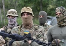 Украинские военные освободили шесть населенных пунктов в Луганской области, – Гайдай