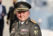 Залужный рассказал генералу США о едином “оружии массового поражения” в Украине
