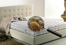 Дитяча кімната під мікроскопом: що приховують м’які дивани без регулярної хімчистки