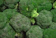 В Україні скорочуються площі під броколі та цвітною капустою: причини