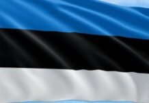 В Естонії заявили про затримання 16 пособників спецслужб РФ