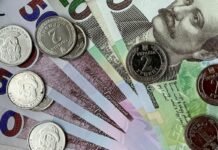 Недоотримані субсидії та пільги: коли і кому їх виплачують