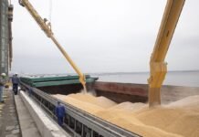 Україна посилює боротьбу з крадіжкою зерна: вже є перші результати