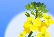 Репарації: Кабмін затвердив суму невідкладних виплат за насильство з боку росіян