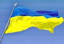 Українська діаспора зібрала понад $110 млн на підтримку ЗСУ