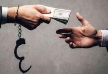 Гучні викриття та затримання цього тижня