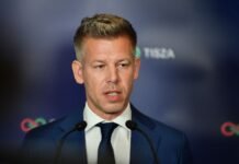 “Диявол у деталях”: Мадяр розповів про розбіжності в ЄС щодо вступу України