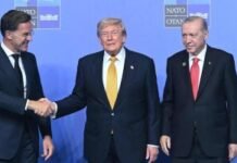 Трамп на саміті НАТО знову зажадав передати Гренландію США