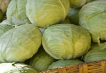 Нарешті дешевшає: скільки сьогодні коштує капуста