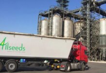 Атаки на порти: Allseeds зупинив роботу одного з найбільших заводів