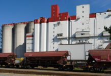 У Мінагро розповіли, що відбувається з експортом агропродукції в серпні