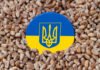 Рятування рядового аграрія: Україна просить у партнерів 220 млн євро