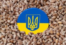 Рятування рядового аграрія: Україна просить у партнерів 220 млн євро