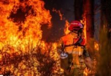 У Франції за лісові пожежі заарештували сотні людей
