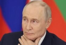 Путін розпочав «зернову війну» проти європейських фермерів