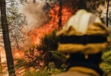 Лісові пожежі поставили під загрозу кліматичні цілі Європи