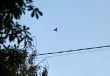 У Херсоні дрон ударив по маршрутці з людьми, є загиблі