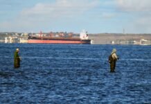 Туреччина обмежила прохід суден у Чорне море через сплеск атак, – Bloomberg