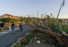 Торнадо пронісся французьким селом: 39 людей постраждали