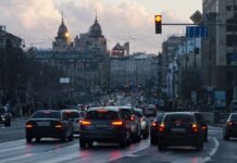 Авто “проситься” у вашу смугу: чи повинні ви його пропустити