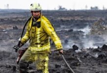 У Європі від початку року вигоріло майже 650 тисяч гектарів лісу